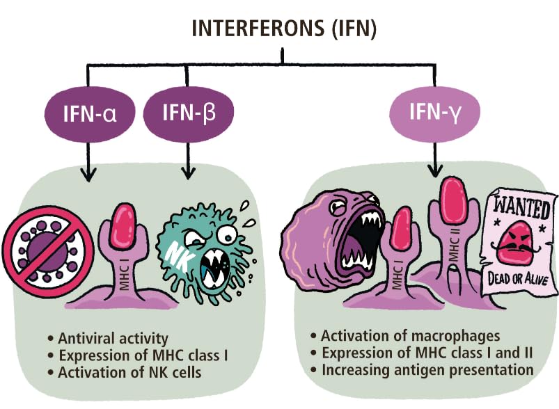 Immunology Made Ridiculously Simple: Color Edition