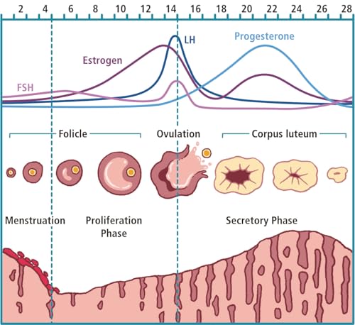 The Practitioner's Pocket Pal: A "Made Ridiculously Simple" Rapid Medical Reference