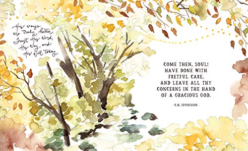 GraceLaced Deluxe Edition