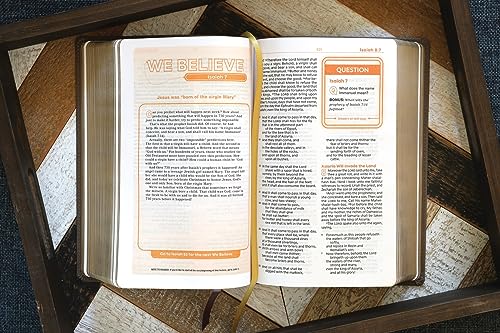 KJV, Teen Study Bible, Leathersoft, Brown, Comfort Print