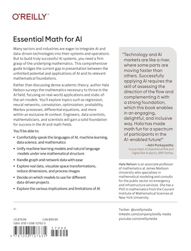 Essential Math for AI: Next-Level Mathematics for Efficient and Successful AI Systems