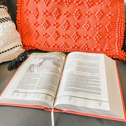 NLT Life Application Study Bible, Third Edition (Hardcover Cloth, Coral, Red Letter)