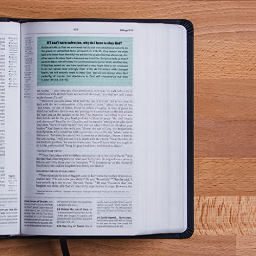 ESV Reformation Study Bible, Student Edition - Red, Leather-Like