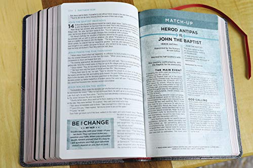 NIV, Revolution Bible, Leathersoft, Gray/Navy: The Bible for Teen Guys