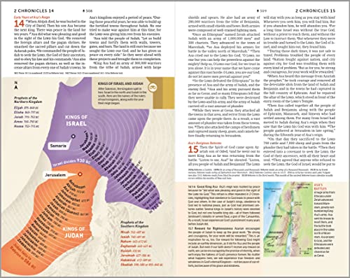 NLT Student Life Application Study Bible, Filament Enabled (LeatherLike, Charcoal Gray Striped, Indexed, Red Letter)