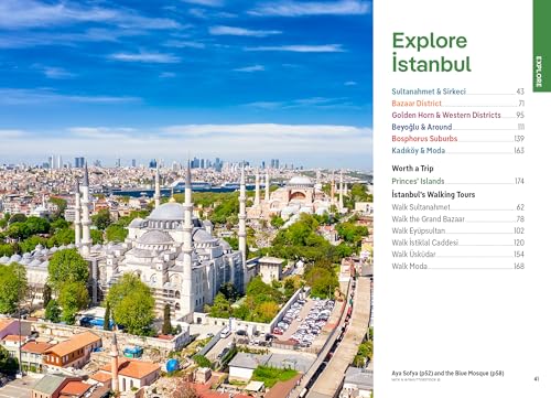 Lonely Planet Pocket Istanbul (Pocket Guide)
