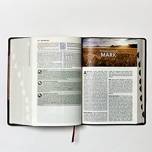 KJV, The King James Study Bible, Bonded Leather, Brown, Thumb Indexed, Red Letter, Full-Color Edition: Holy Bible, King James Version