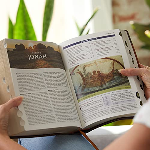 KJV, The King James Study Bible, Bonded Leather, Burgundy, Thumb Indexed, Red Letter, Full-Color Edition: Holy Bible, King James Version