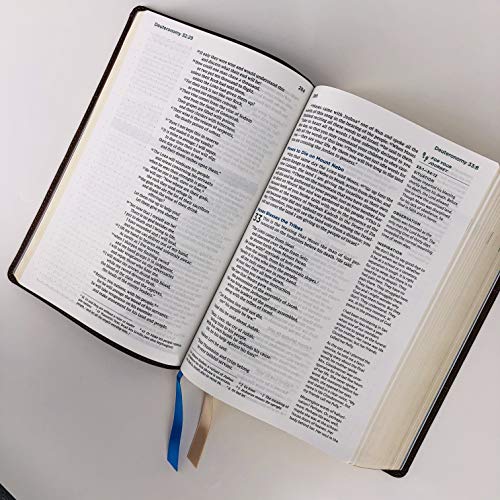 NIV, Lucado Encouraging Word Bible, Leathersoft, Blue, Thumb Indexed, Comfort Print: Holy Bible, New International Version