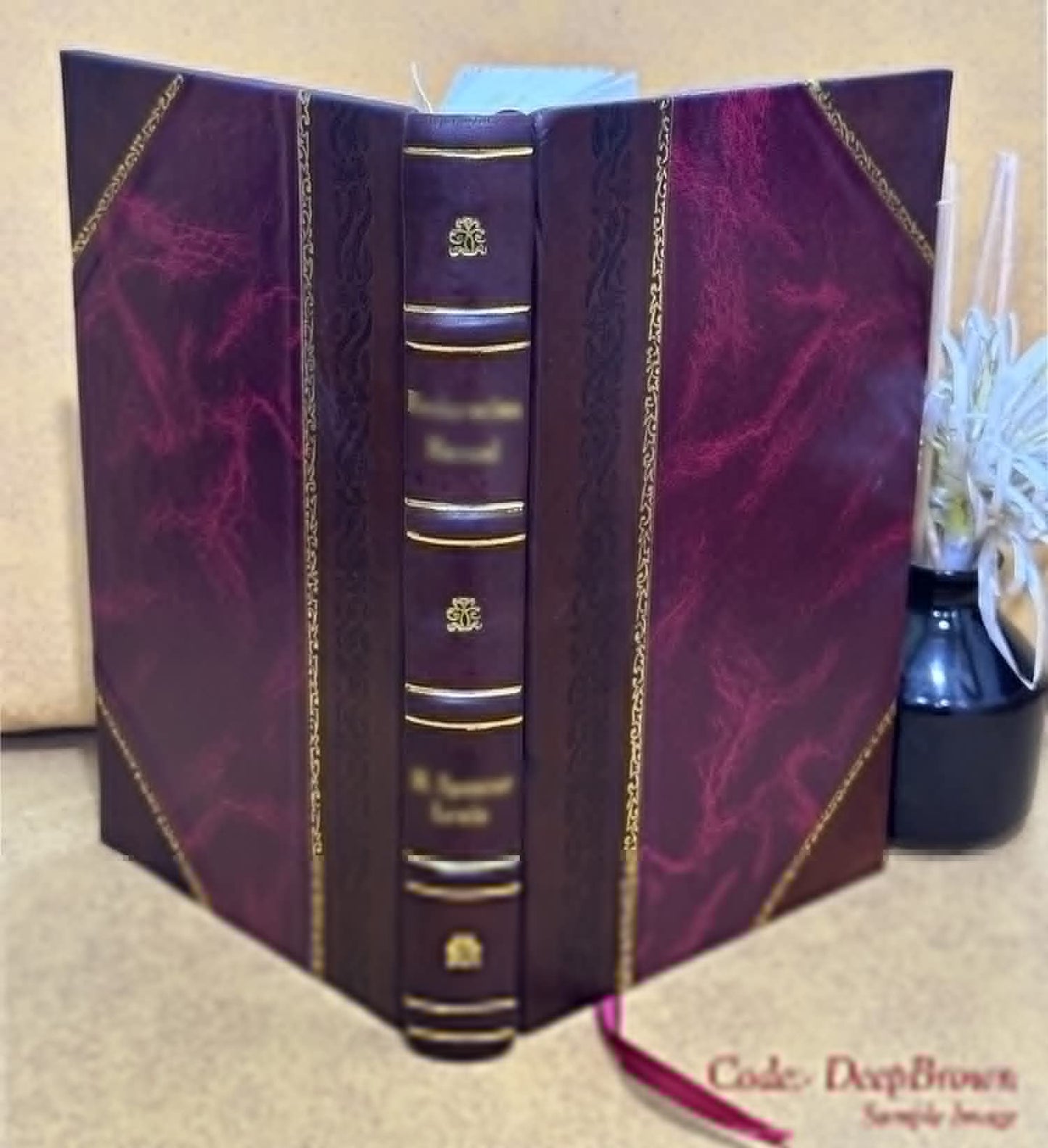 Homosexuality; a psychoanalytic study [by] Irving Bieber [and others] 1962 [Leather Bound]