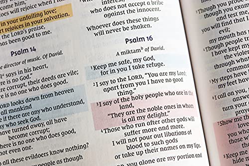 NIV, Radiant Virtues Bible: A Beautiful Word Collection, Cloth over Board, Pink, Red Letter, Comfort Print: Explore the virtues of faith, hope, and love