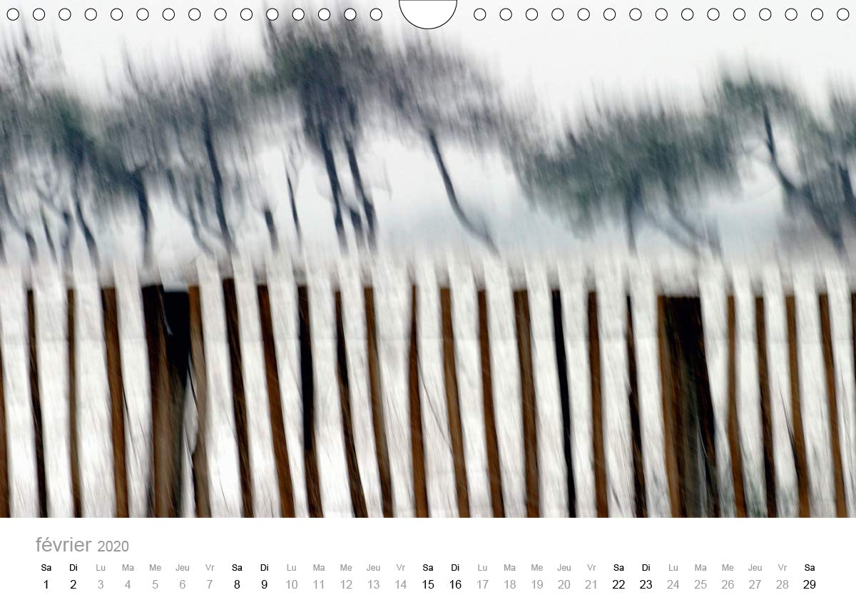 GANIVELLES 2020: Barrieres en lattes de chataignier, les ganivelles servent a fixer sur les dunes le sable apporte par le vent. (Calvendo Nature) (French Edition)