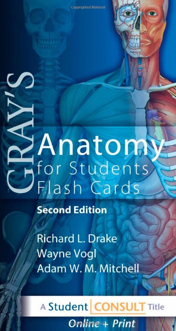 Gray's Anatomy for Students Flash Cards: with STUDENT CONSULT Online Access