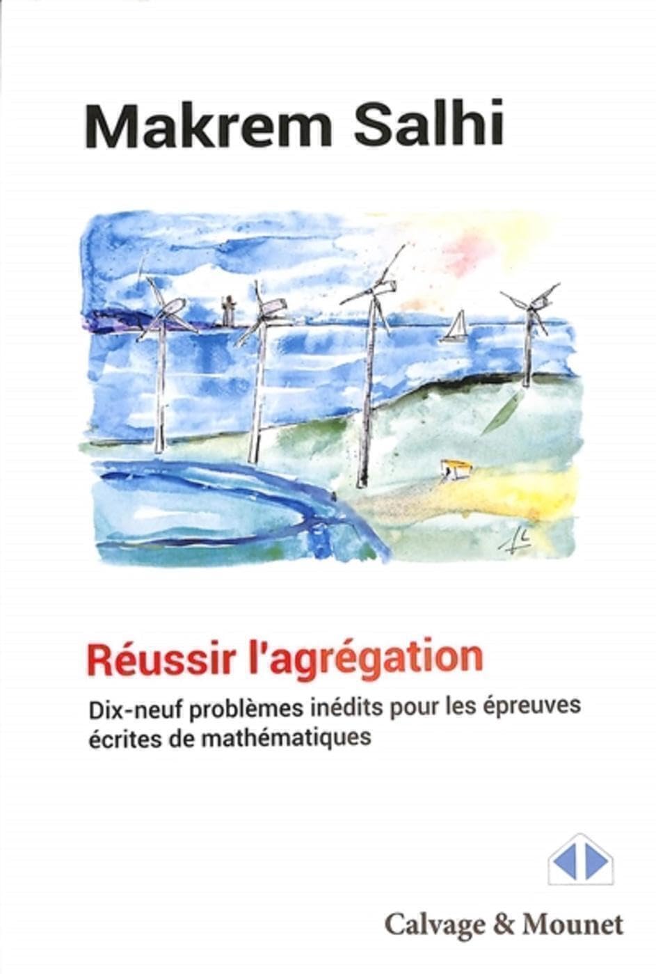 Réussir l'agrégation: Dix-neuf problèmes inédits pour les épreuves écrites de mathématiques