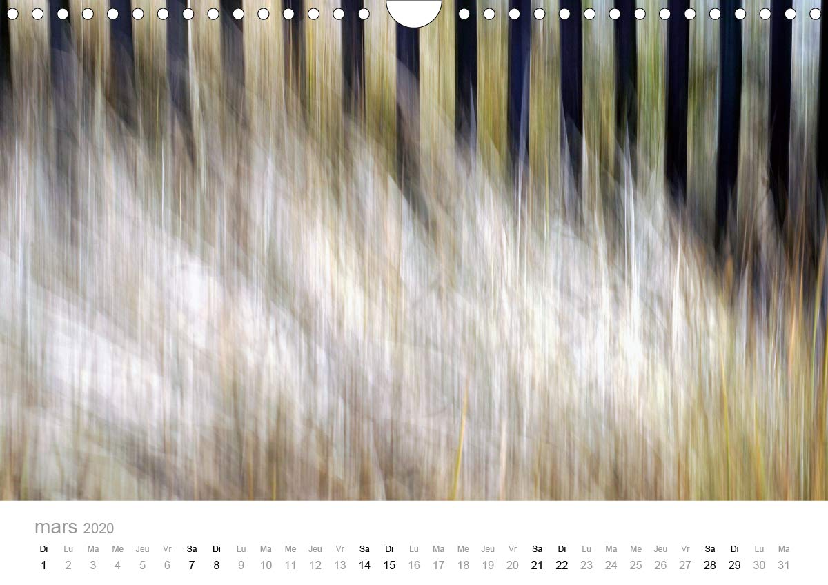 GANIVELLES 2020: Barrieres en lattes de chataignier, les ganivelles servent a fixer sur les dunes le sable apporte par le vent. (Calvendo Nature) (French Edition)