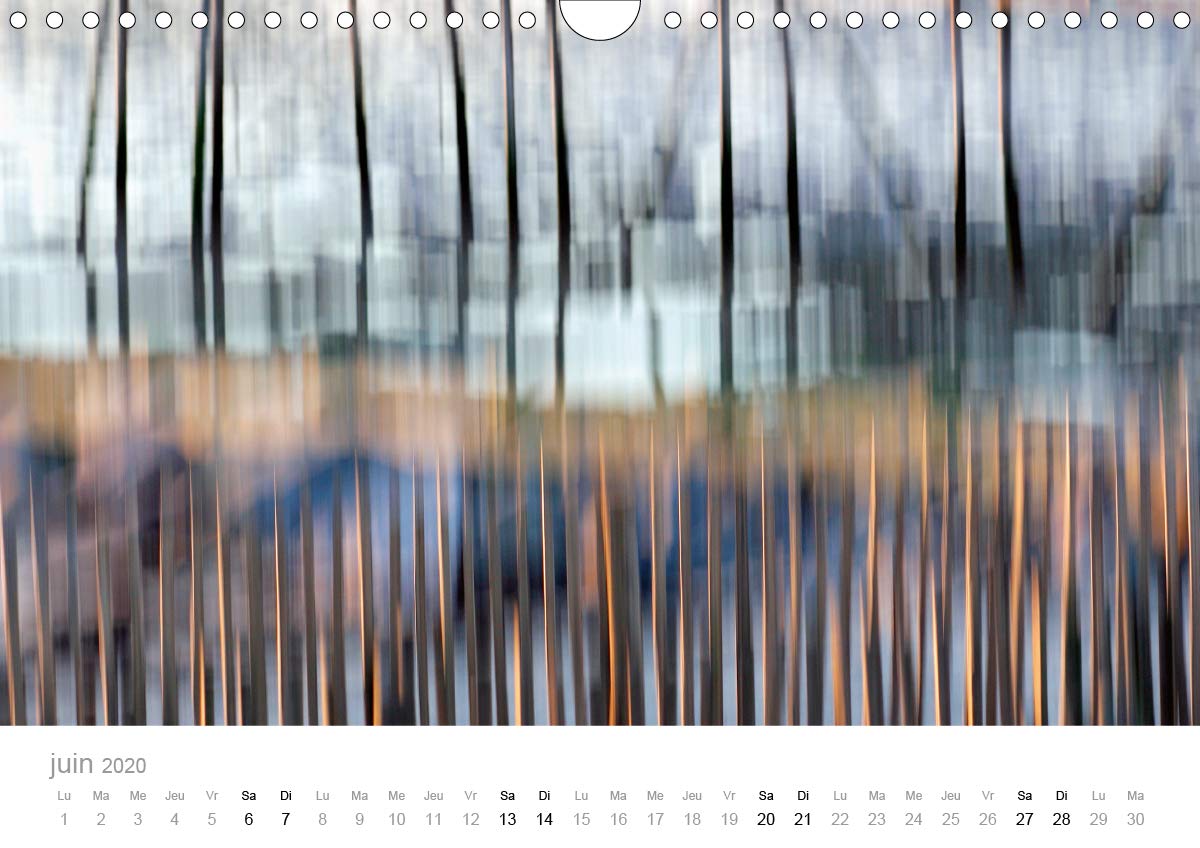 GANIVELLES 2020: Barrieres en lattes de chataignier, les ganivelles servent a fixer sur les dunes le sable apporte par le vent. (Calvendo Nature) (French Edition)