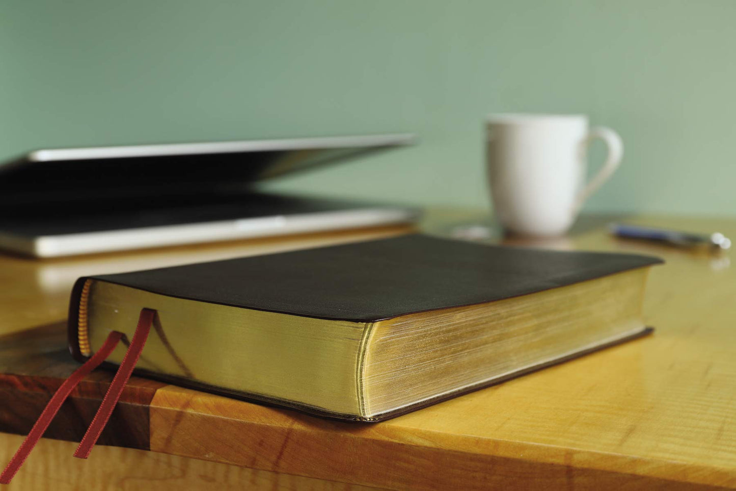 NIV, Reference Bible, Giant Print, Bonded Leather, Burgundy, Red Letter, Comfort Print