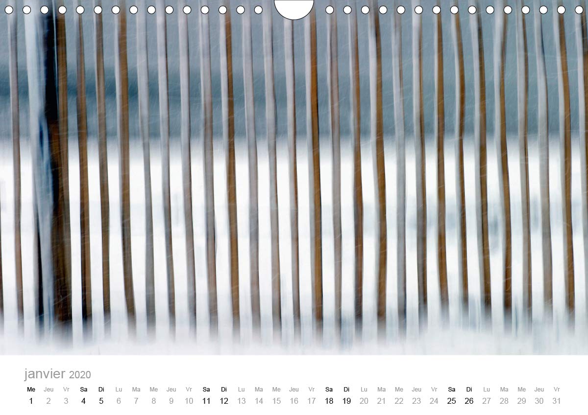 GANIVELLES 2020: Barrieres en lattes de chataignier, les ganivelles servent a fixer sur les dunes le sable apporte par le vent. (Calvendo Nature) (French Edition)