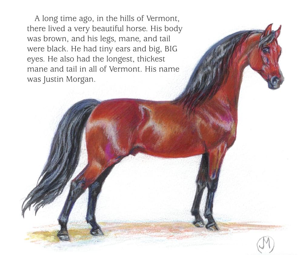 Justin Morgan and the Big Horse Race