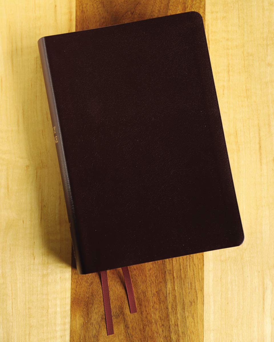 NIV, Reference Bible, Giant Print, Bonded Leather, Burgundy, Red Letter, Comfort Print