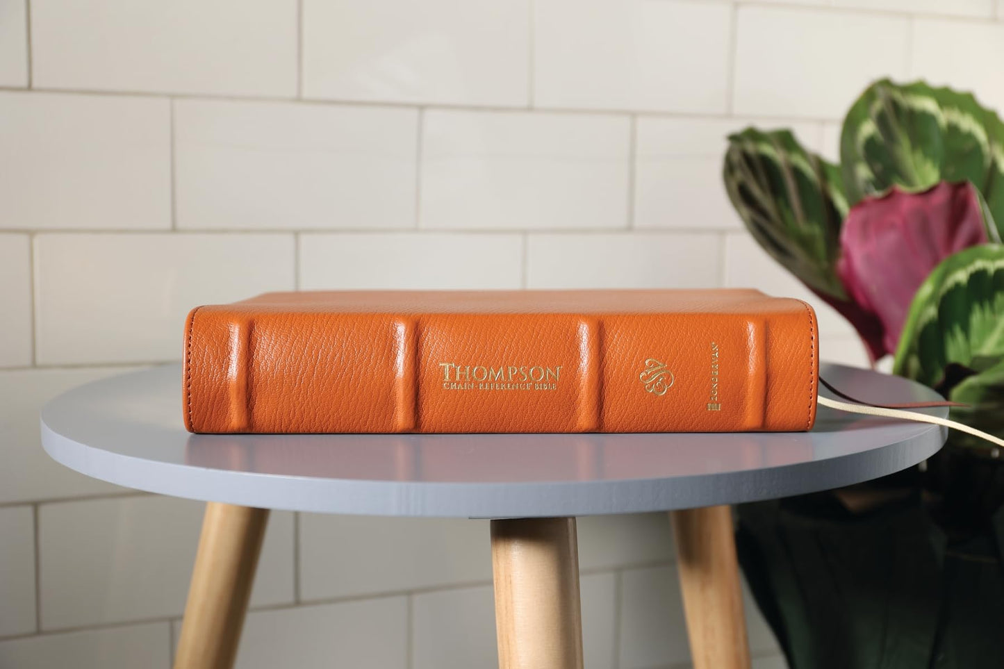 ESV, Thompson Chain-Reference Bible, Genuine Leather, Calfskin, Tan, Red Letter