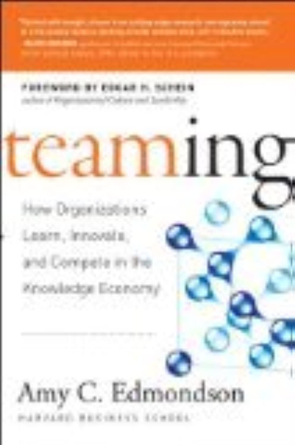 Teaming: How Organizations Learn, Innovate, and Compete in the Knowledge Economy