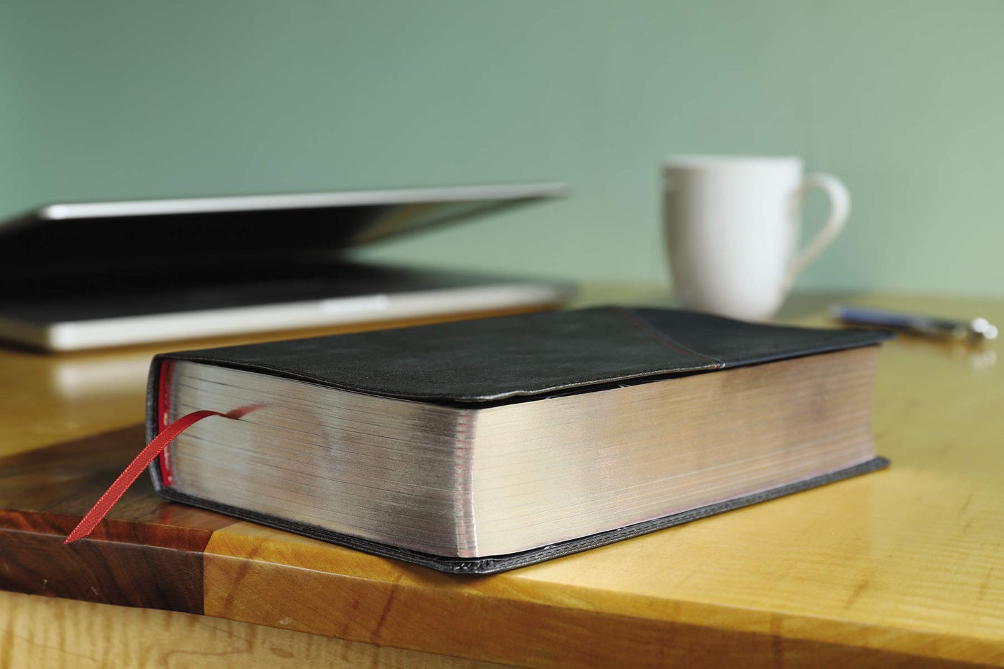 NIV, Revolution Bible, Leathersoft, Gray/Navy: The Bible for Teen Guys