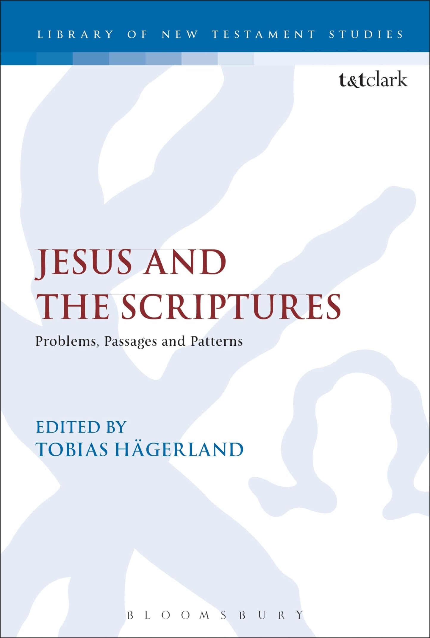Jesus and the Scriptures: Problems, Passages and Patterns (The Library of New Testament Studies)