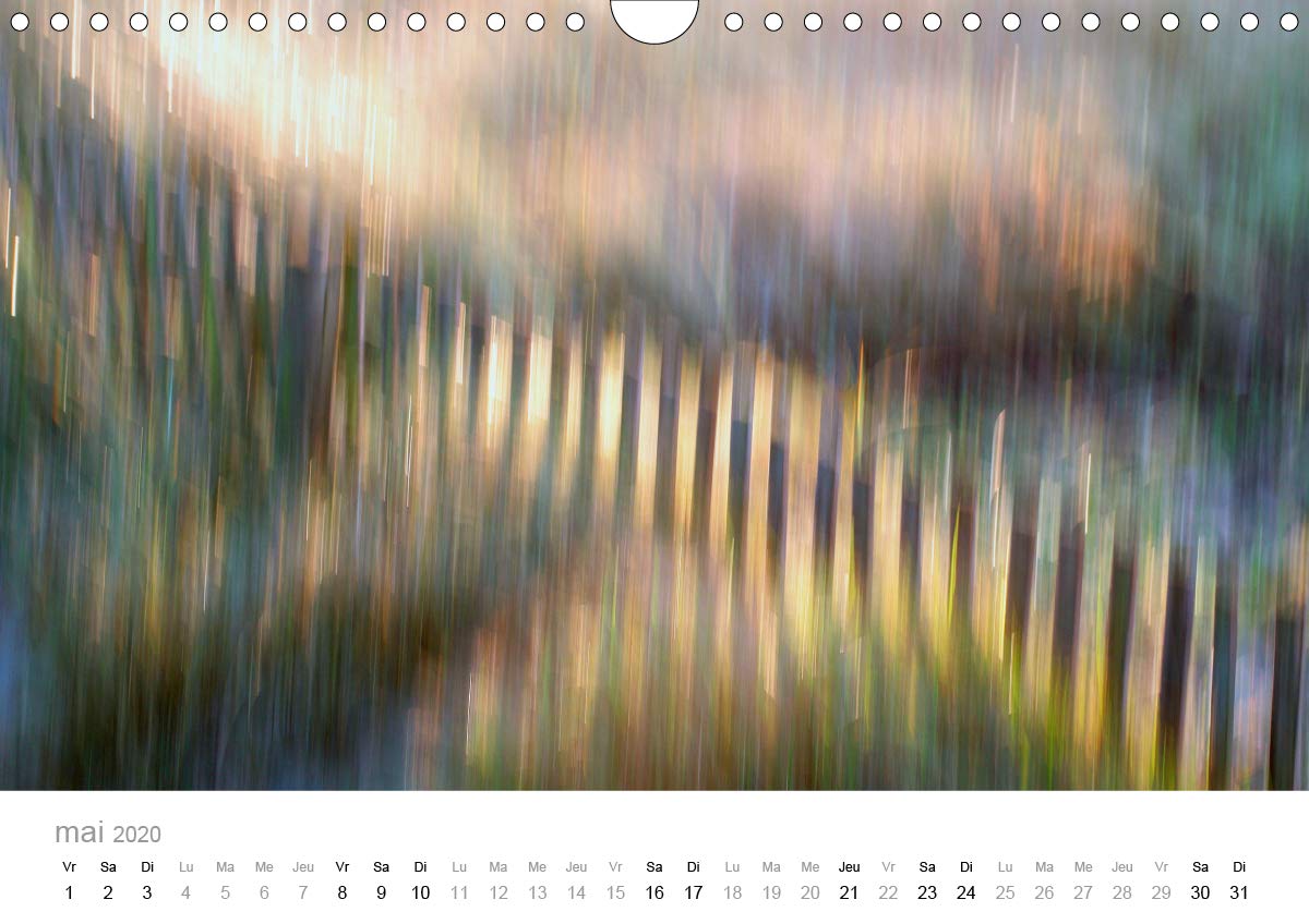 GANIVELLES 2020: Barrieres en lattes de chataignier, les ganivelles servent a fixer sur les dunes le sable apporte par le vent. (Calvendo Nature) (French Edition)