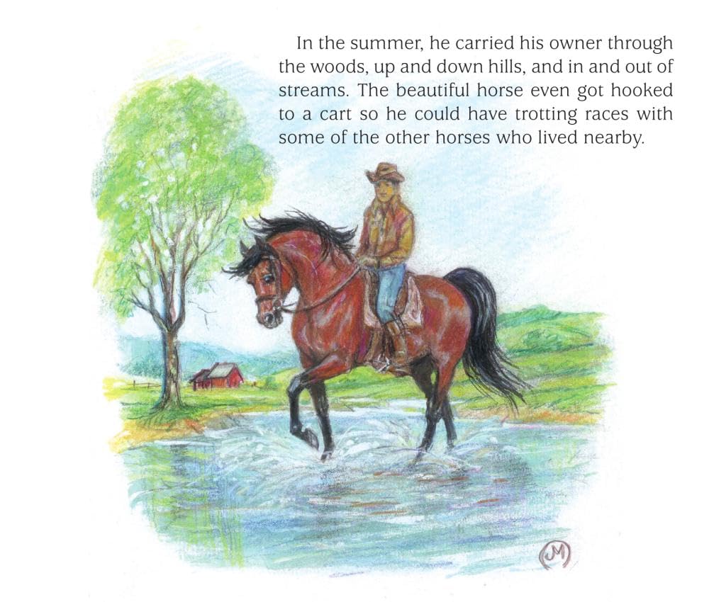 Justin Morgan and the Big Horse Race