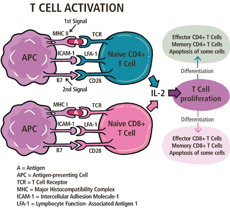 Immunology Made Ridiculously Simple: Color Edition