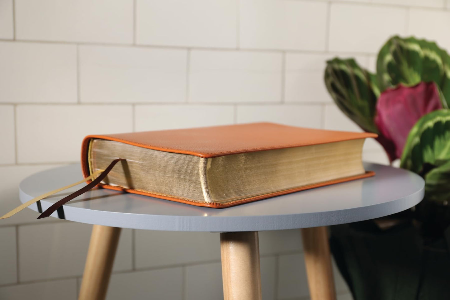 ESV, Thompson Chain-Reference Bible, Genuine Leather, Calfskin, Tan, Red Letter