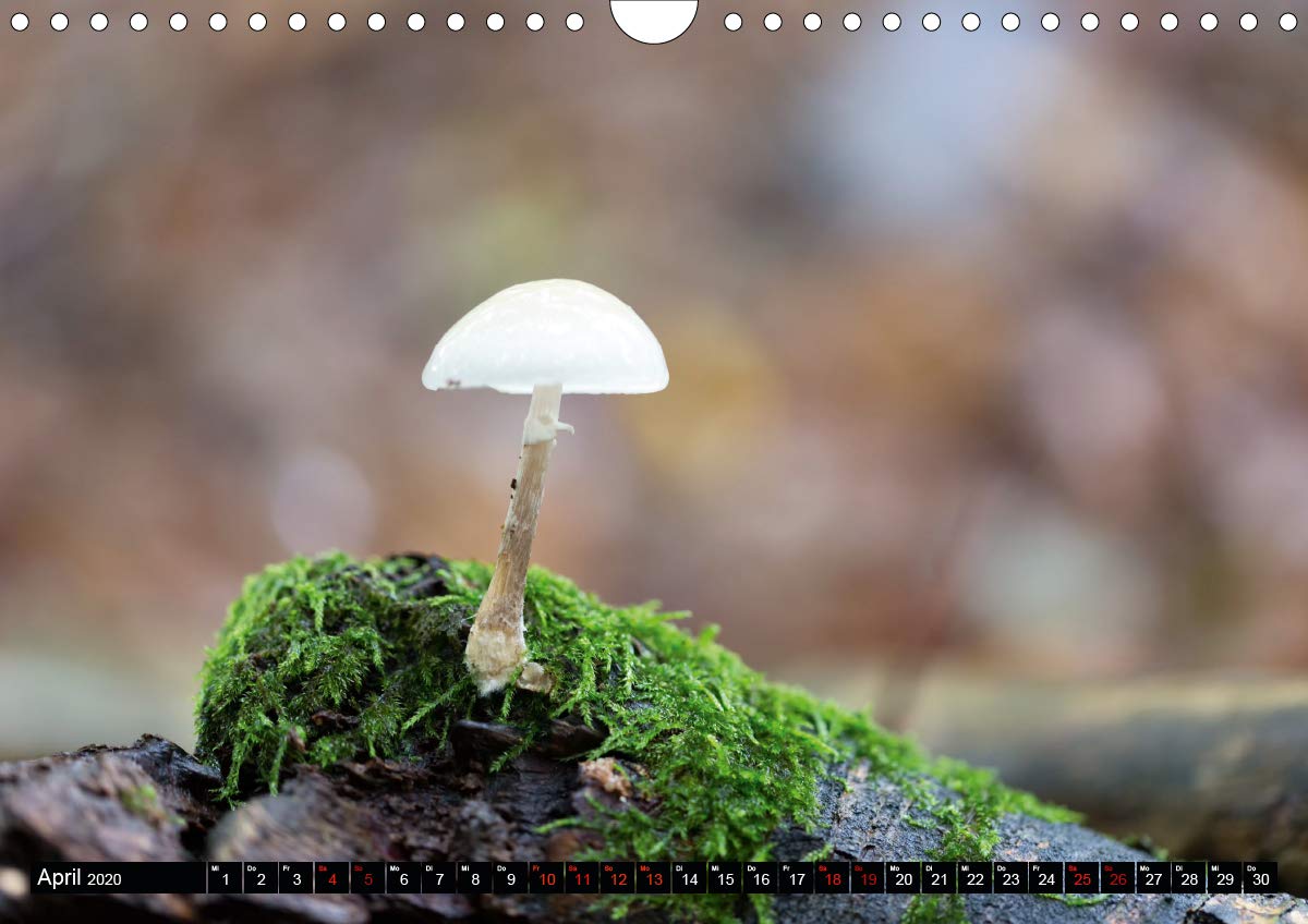 Evasion dans l'imaginaire 2020: Mon imagination se materialise dans un jeu abstrait plein de couleur, joie et harmonie qui me ramene dans le monde de l'enfance. (Calvendo Art) (French Edition)