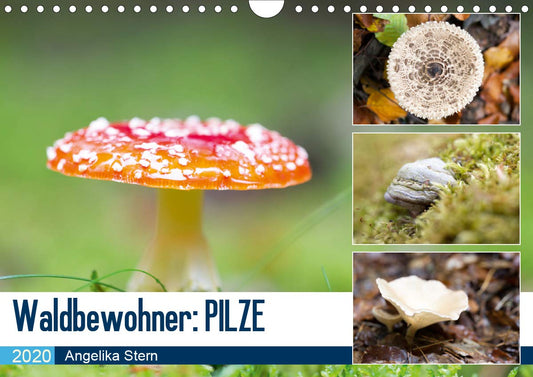 Evasion dans l'imaginaire 2020: Mon imagination se materialise dans un jeu abstrait plein de couleur, joie et harmonie qui me ramene dans le monde de l'enfance. (Calvendo Art) (French Edition)