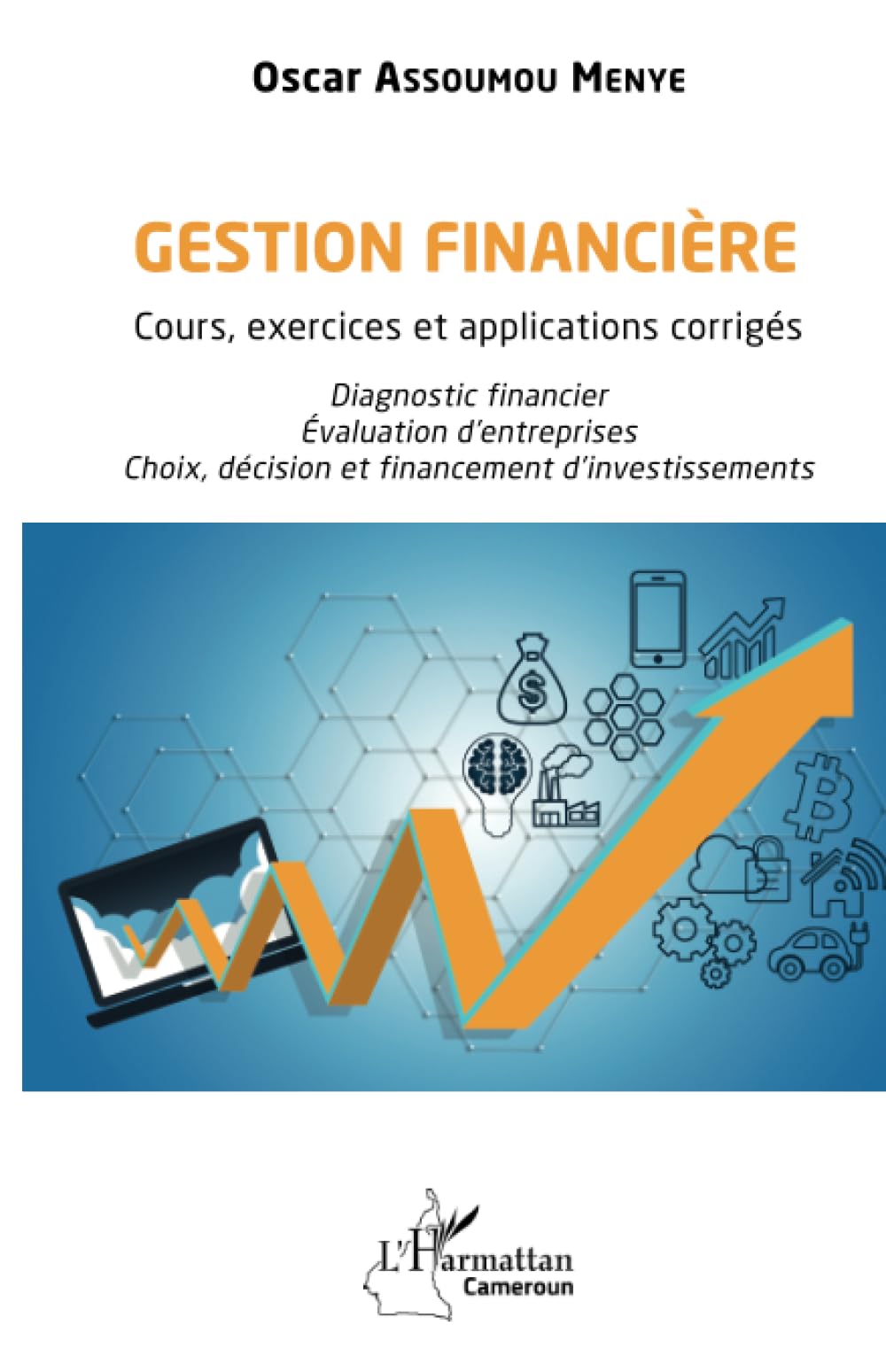 Gestion financière: Cours, exercices et applications corrigés (French Edition)