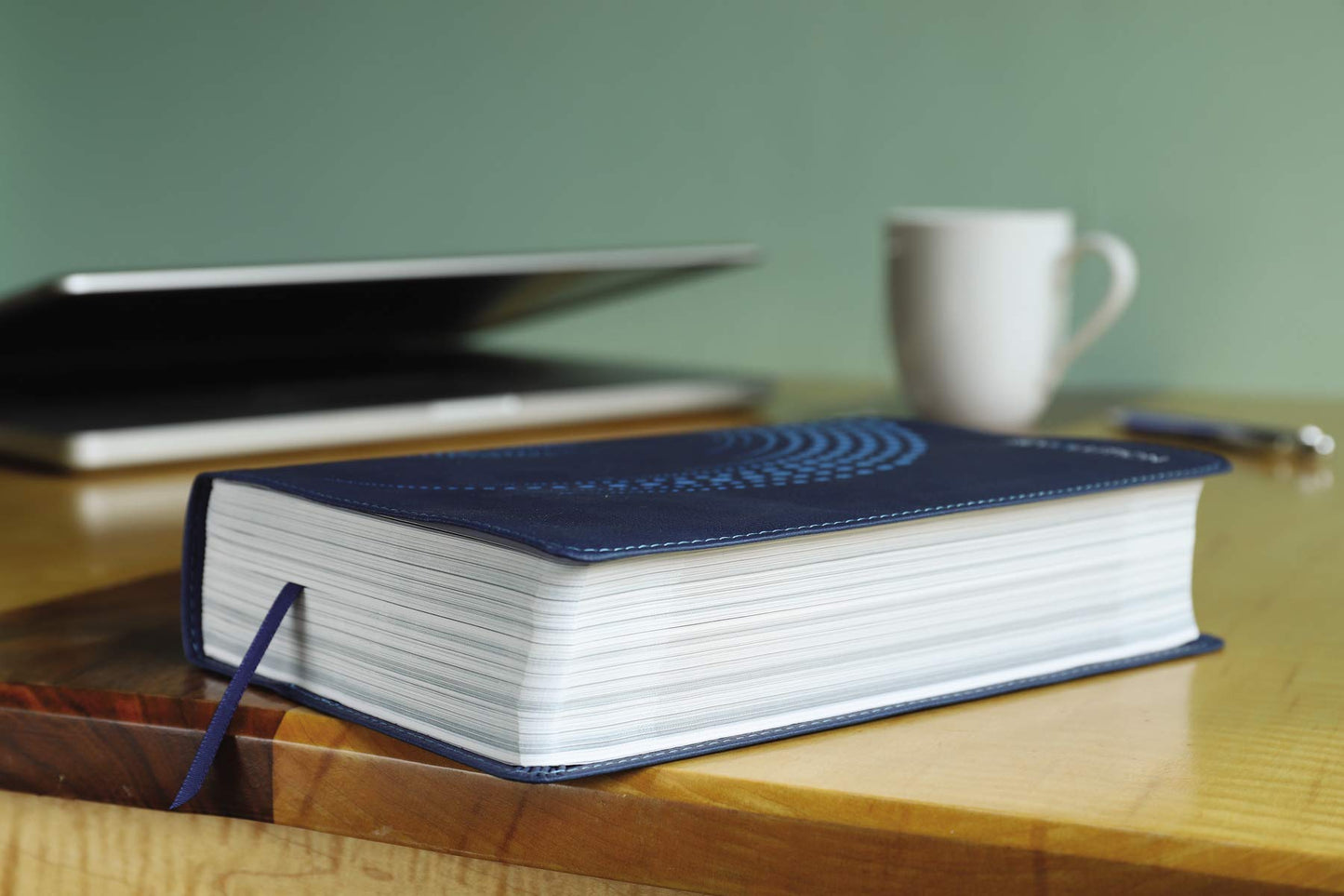 NIV, Revolution Bible, Leathersoft, Blue: The Bible for Teen Guys