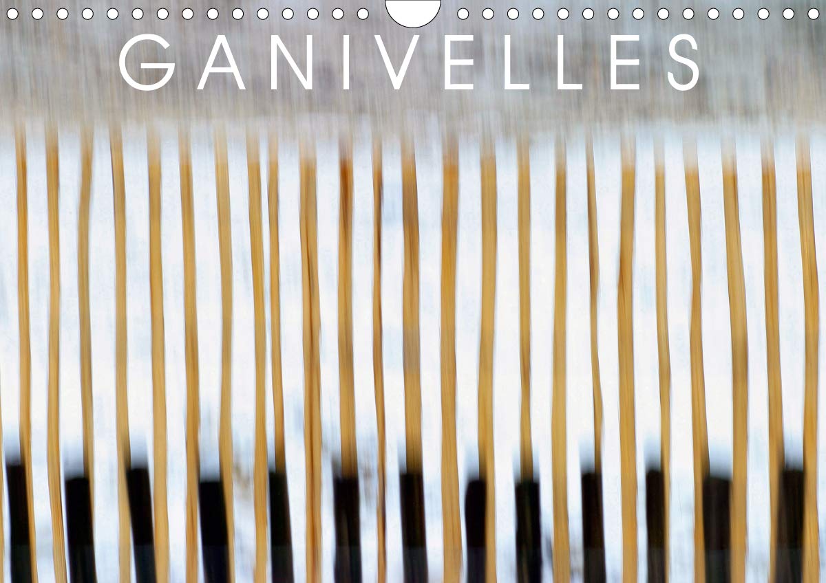 GANIVELLES 2020: Barrieres en lattes de chataignier, les ganivelles servent a fixer sur les dunes le sable apporte par le vent. (Calvendo Nature) (French Edition)