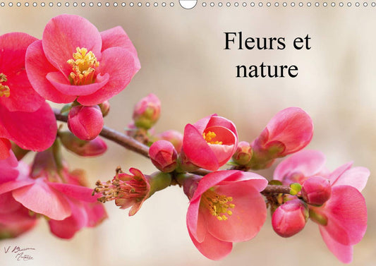 Fleurs et nature 2020: Poesie des fleurs au cours des saisons (Calvendo Nature) (French Edition)