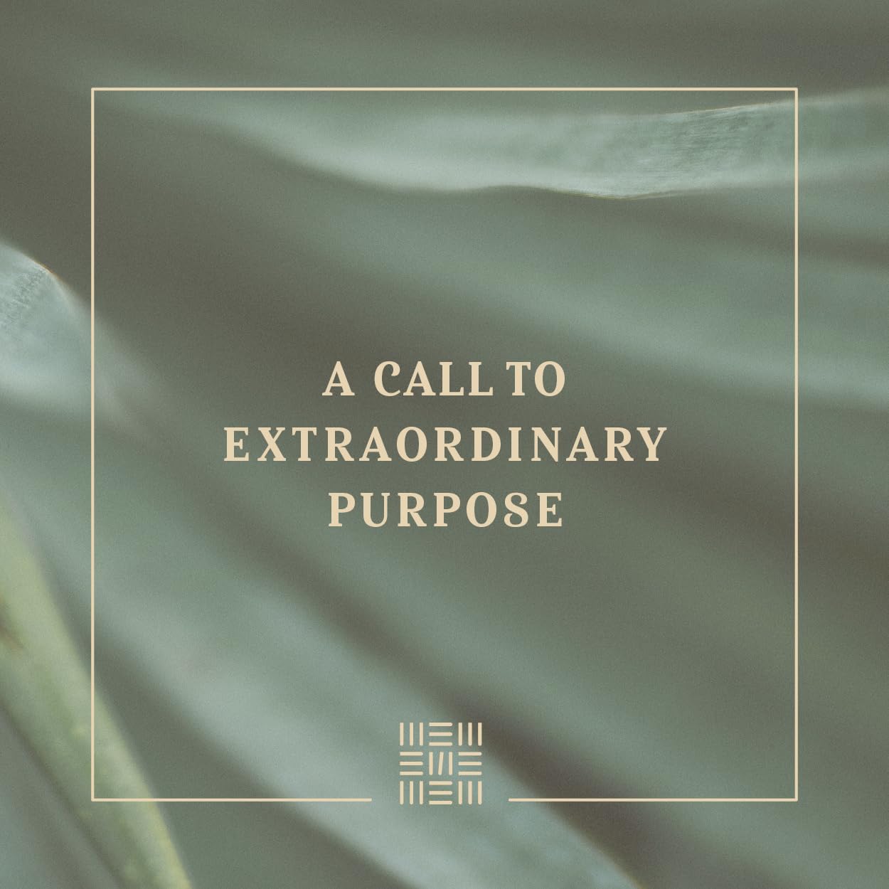 NLT Every Woman’s Bible, Filament Enabled (LeatherLike, Sky Blue, Indexed, Red Letter)