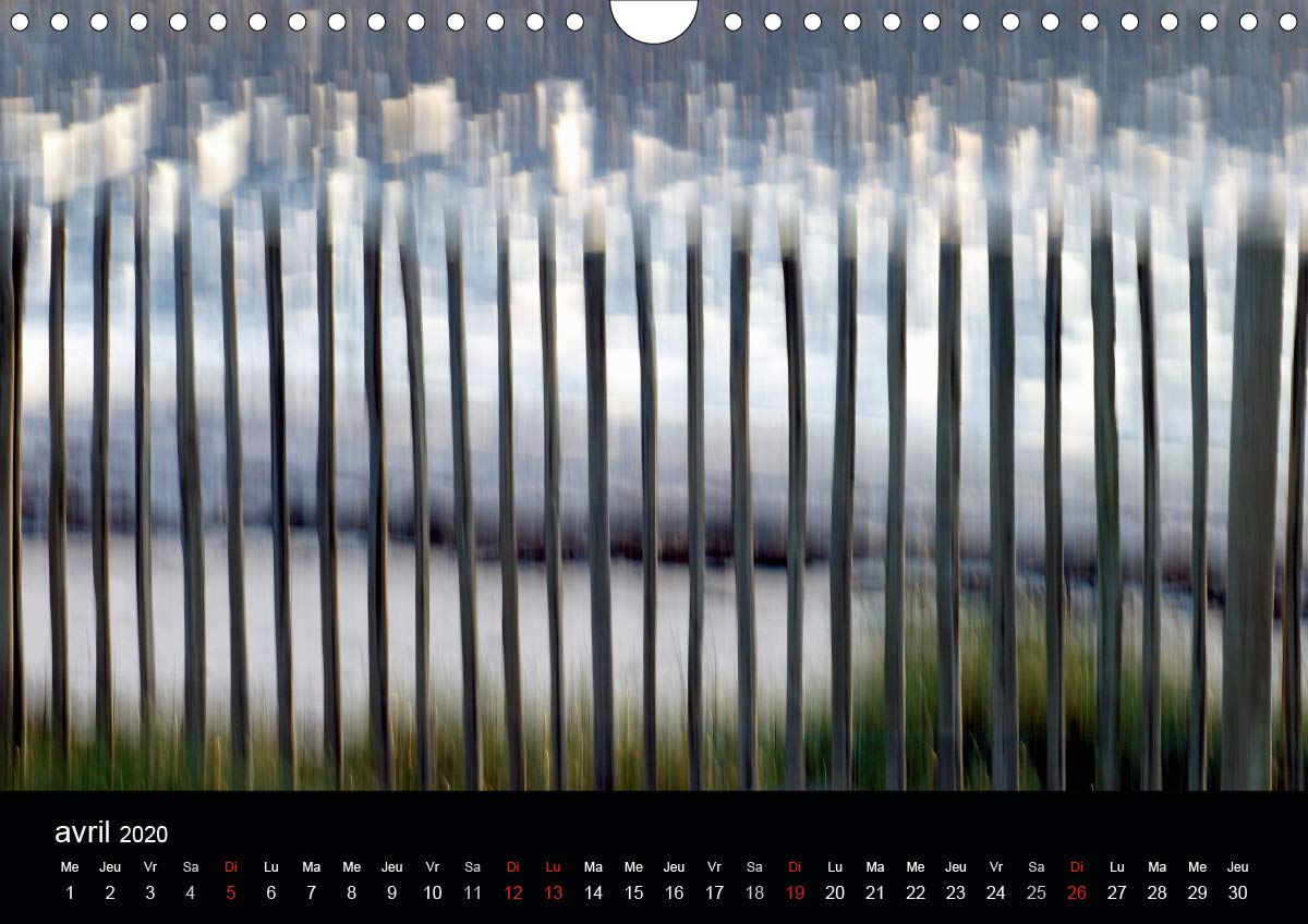 GANIVELLES 2020: Barrieres en lattes de chataignier, les ganivelles servent a fixer sur les dunes le sable apporte par le vent. (Calvendo Nature) (French Edition)