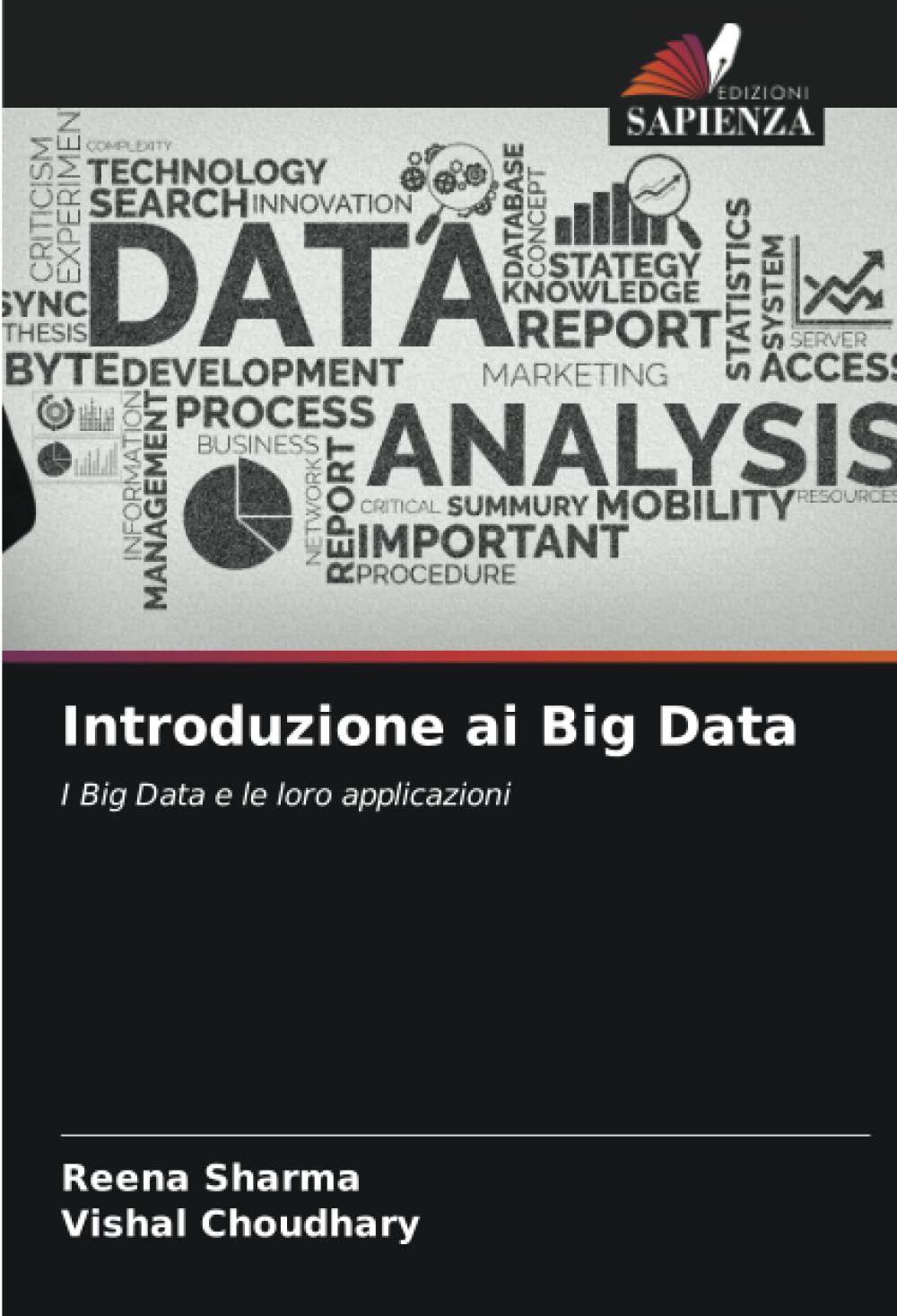 Introduzione ai Big Data: I Big Data e le loro applicazioni (Italian Edition)