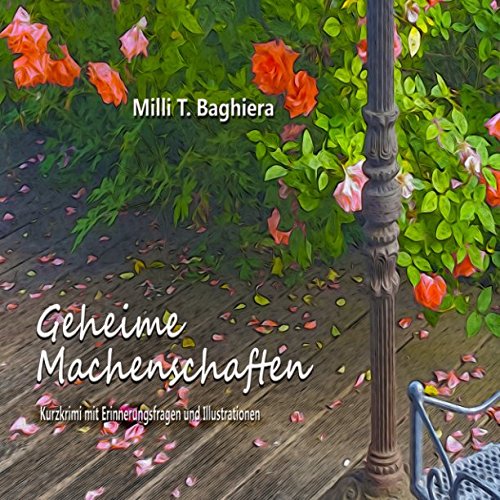Geheime Machenschaften (German Edition)