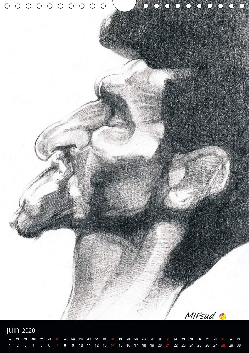 Fines raquettes 2020: Douze portraits forces de championnes et champions internationnaux de tennis. (Calvendo Sportif) (French Edition)