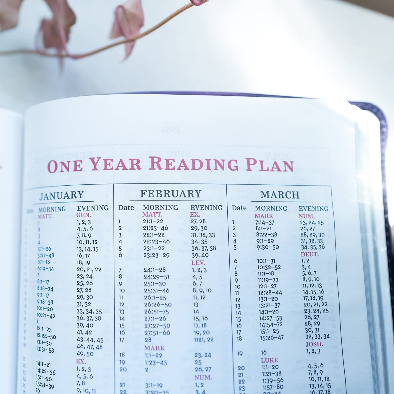 KJV, Personal Size Reference Bible, Sovereign Collection, Genuine Leather, Black, Red Letter, Comfort Print: Holy Bible, King James Version