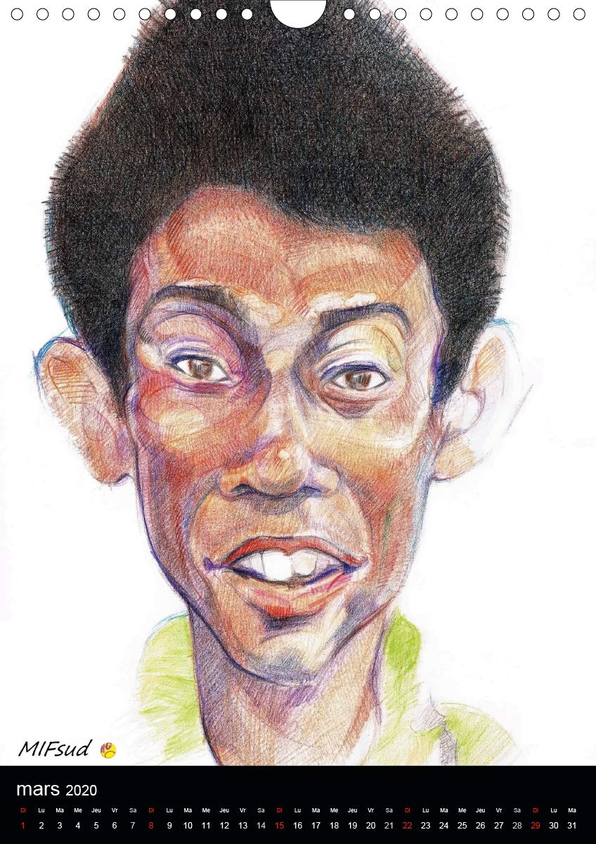 Fines raquettes 2020: Douze portraits forces de championnes et champions internationnaux de tennis. (Calvendo Sportif) (French Edition)