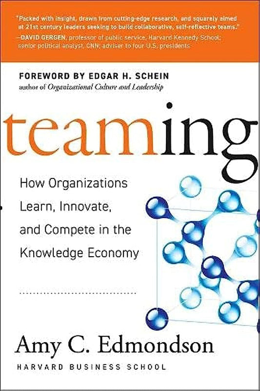Teaming: How Organizations Learn, Innovate, and Compete in the Knowledge Economy