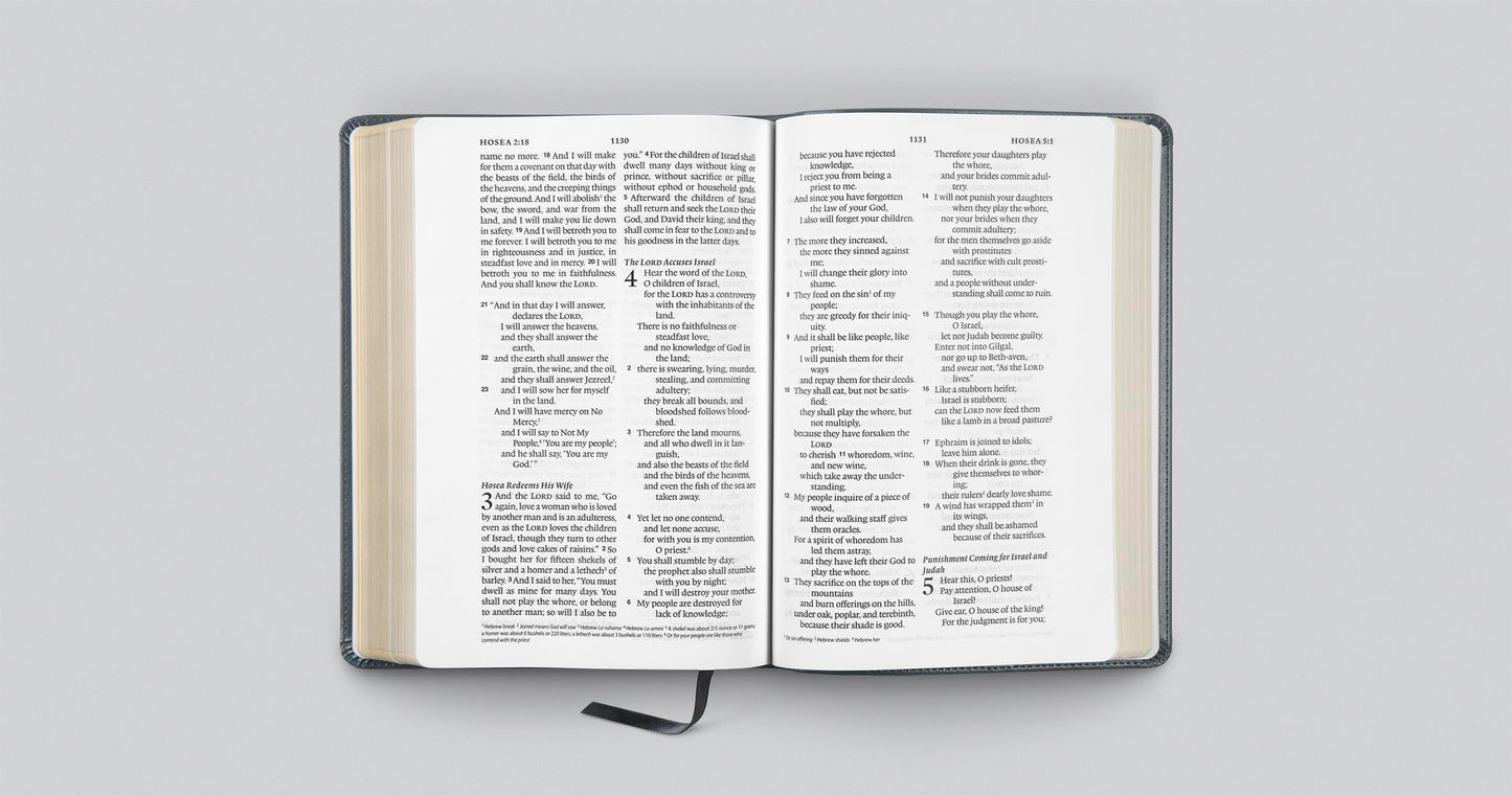 ESV Large Print Wide Margin Bible (TruTone, Slate Blue, Ornament Design): Holy Bible, English Standard Version