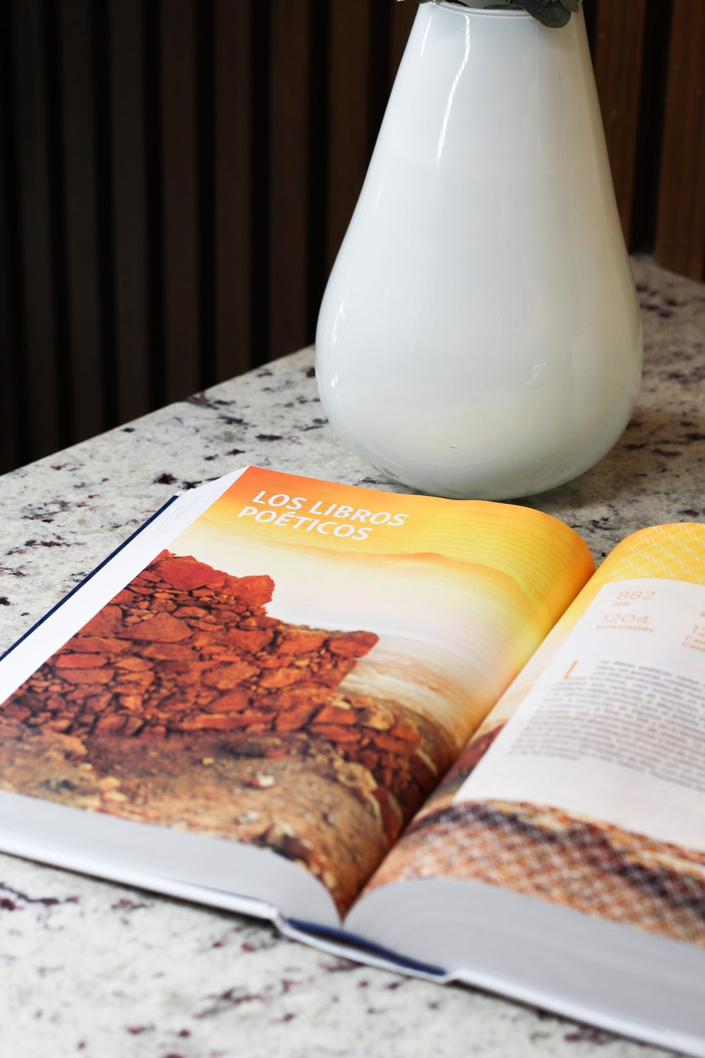 NVI, Biblia de Estudio actualizada, Revisión 2022, Letra grande, Tapa Dura, Interior a color, Palabras de Jesús en Rojo, Comfort Print (NIV Study Bible, Fully Revised Edition) (Spanish Edition)