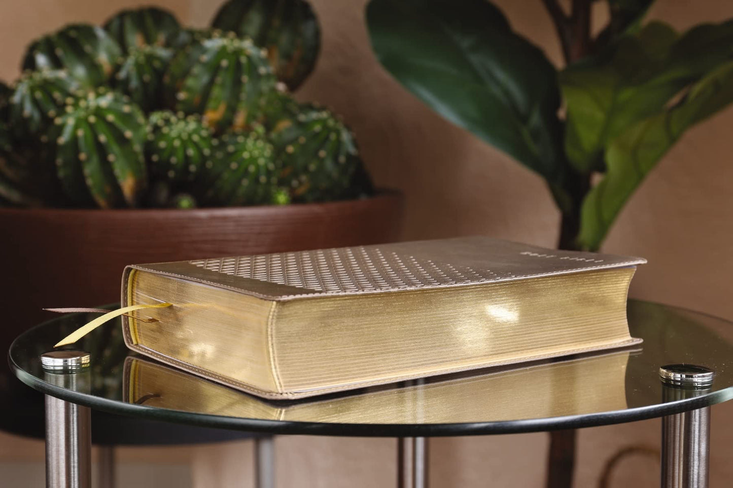 KJV, Teen Study Bible, Leathersoft, Brown, Comfort Print