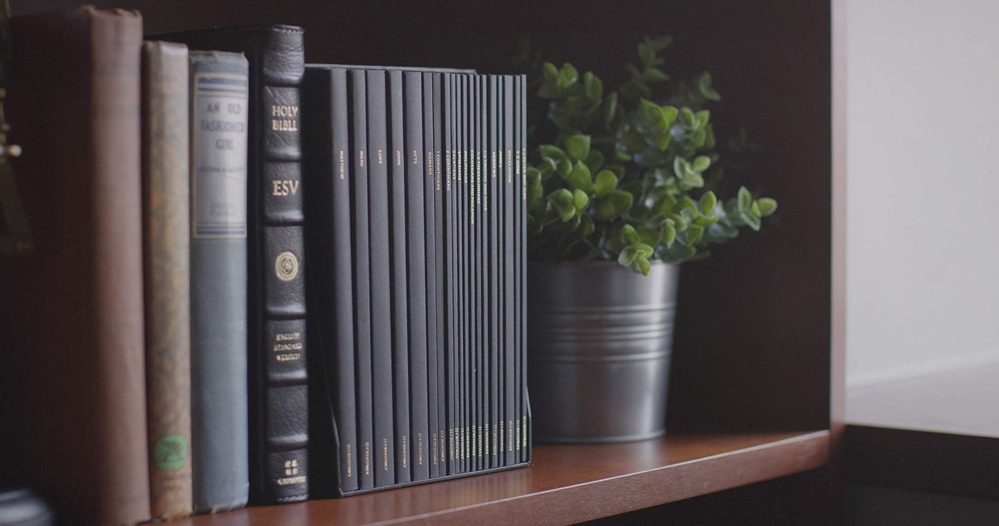 ESV Scripture Journal: New Testament Set